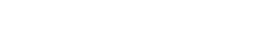 Kaldox Group Logo White